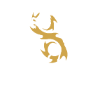 Dracarys Stallion Logo